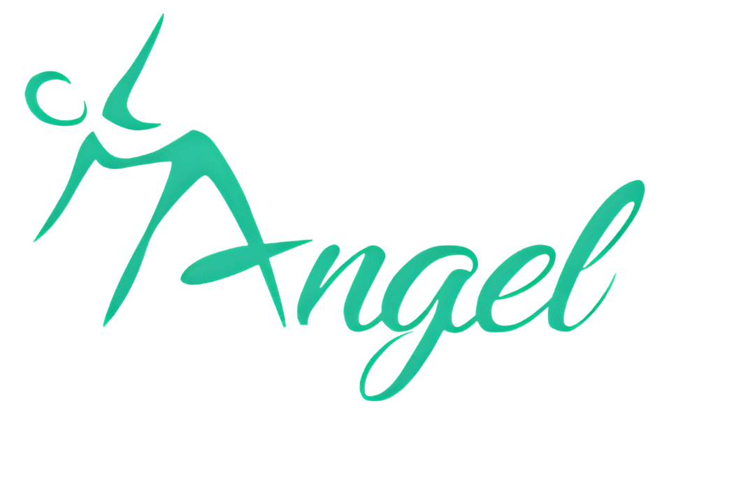 Angel Estúdio de Pilates e Fisioterapia Brusque SC